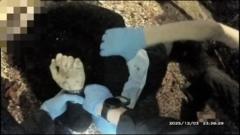 Student's Tragic