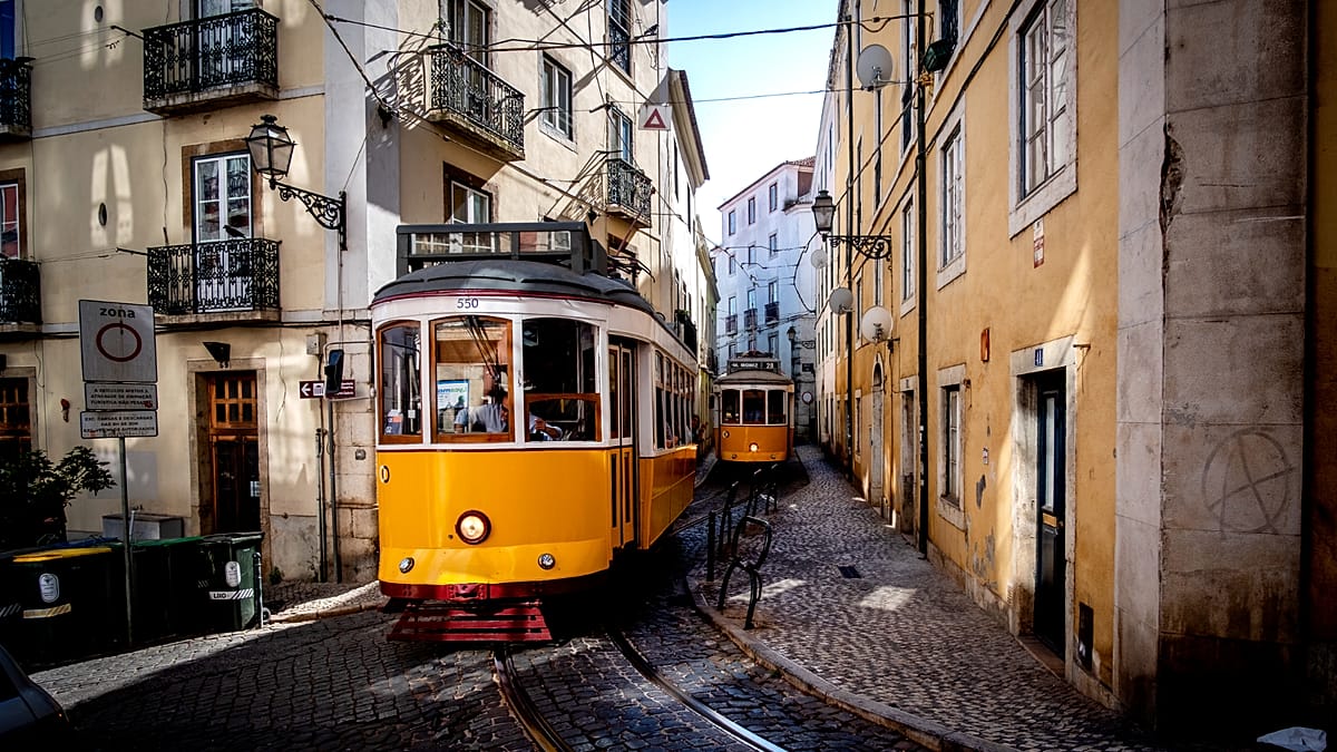 Lisbon Tops