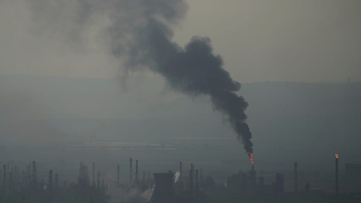 IEA Reports First Annual Drop in Global Oil Demand Since COVID-19 Pandemic