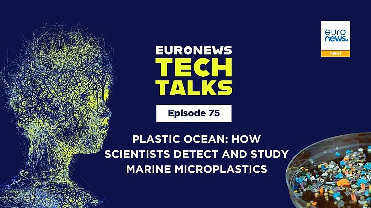Microplastics in