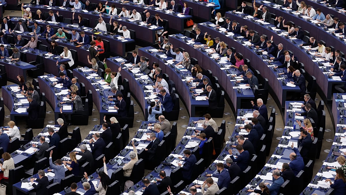 The EU