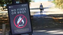 Temporary Ban on Disposable BBQs Amid Wildfire Crisis in the UK