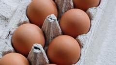 Salmonella Outbreak in the UK Claims One Life and Sickens Hundreds