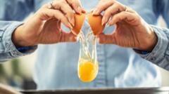 UK Faces Salmonella Crisis as Cases Soar to Nearly 500!